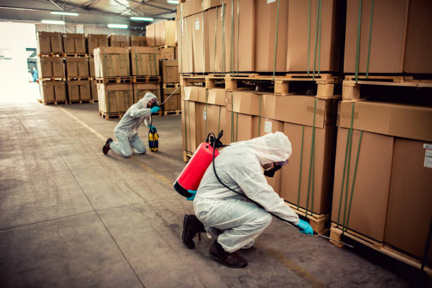Best Pest Inspection Near Me  in Buellton, CA
