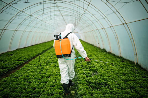 Best Commercial Pest Control Services  in Buellton, CA