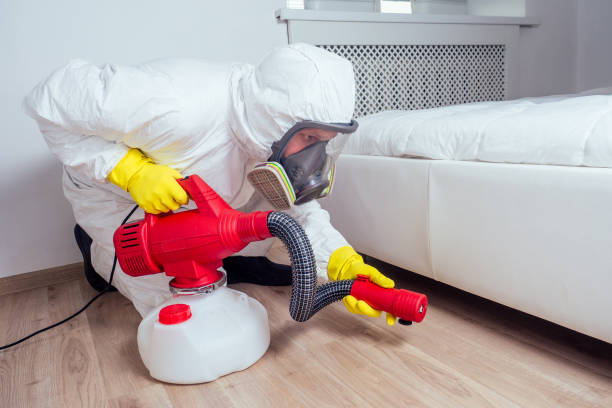 Best Cockroach Control Services  in Buellton, CA