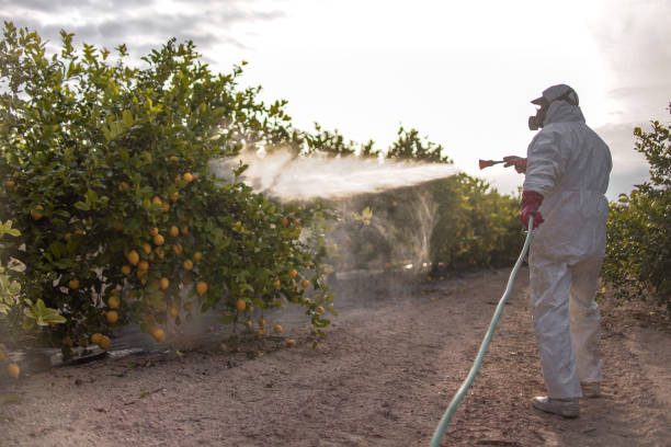 Best Best Pest Control Companies  in Buellton, CA