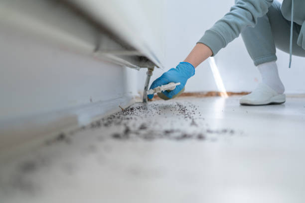Buellton, CA Pest Control Company